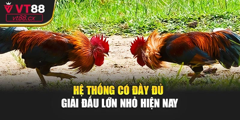 Hệ thống có đầy đủ giải đấu lớn nhỏ hiện nay