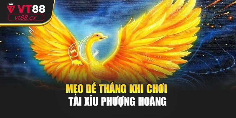 Mẹo dễ thắng khi chơi tài xỉu phượng hoàng