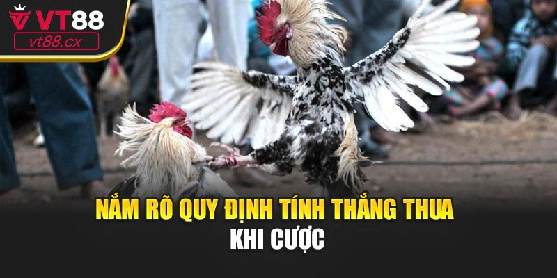 Nắm rõ quy định tính thắng thua khi cược
