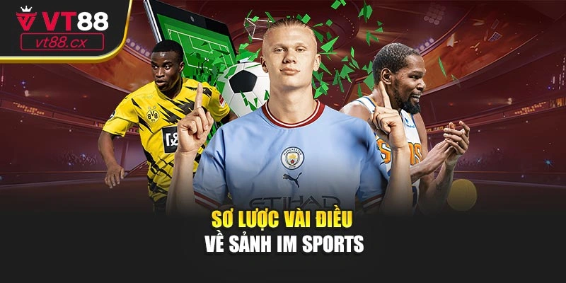Sơ lược vài điều về sảnh IM Sports
