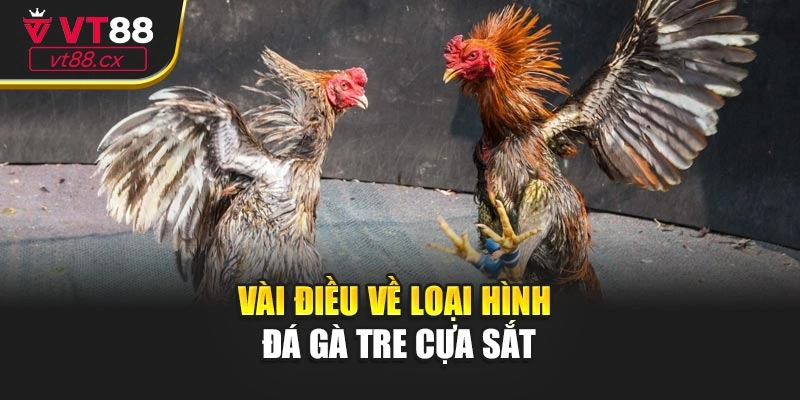 Vài điểm hấp dẫn, lôi cuốn của hình thức